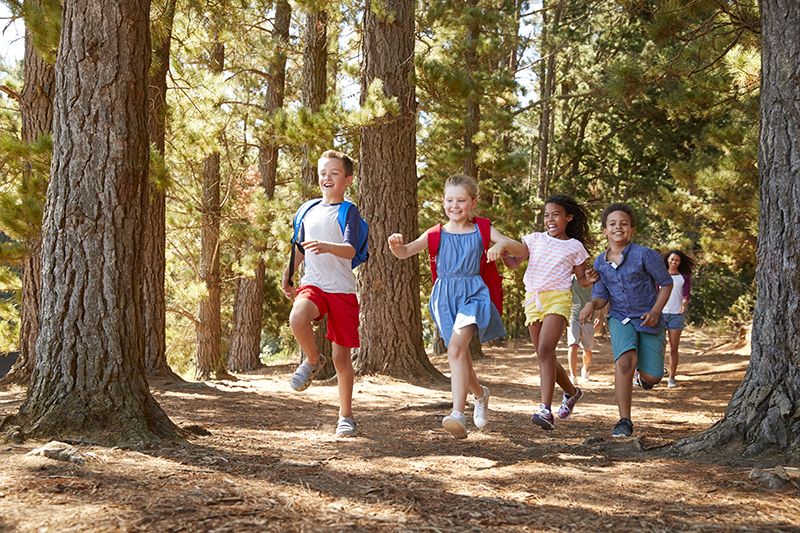 Children Running Ahead Of Parents On Family Hiking Adventure