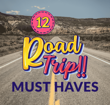 Family road trip essentials check list