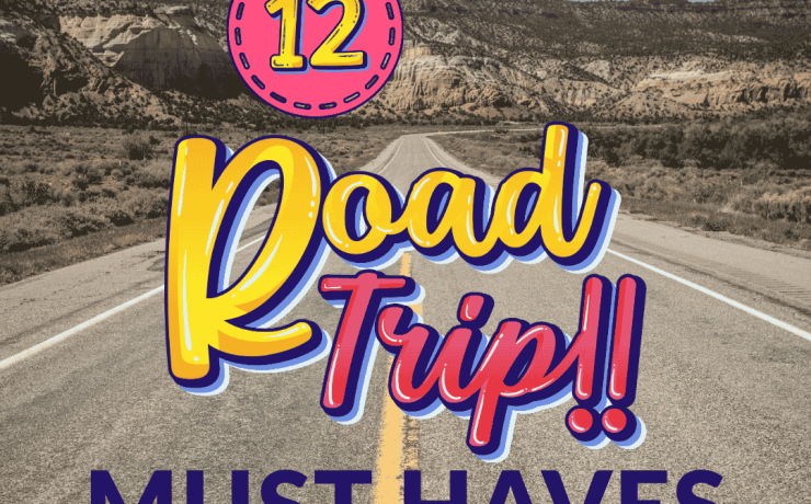 Family road trip essentials check list