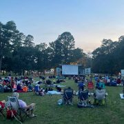 Texarkana Movies in the Park - Summer Events
